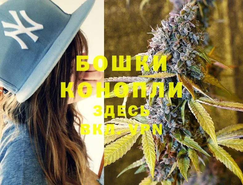 где купить   Можга  Каннабис SATIVA & INDICA 